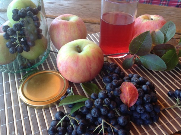 Kompot fra chokeberry ashberry