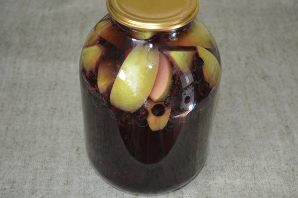Kompot fra chokeberry ashberry