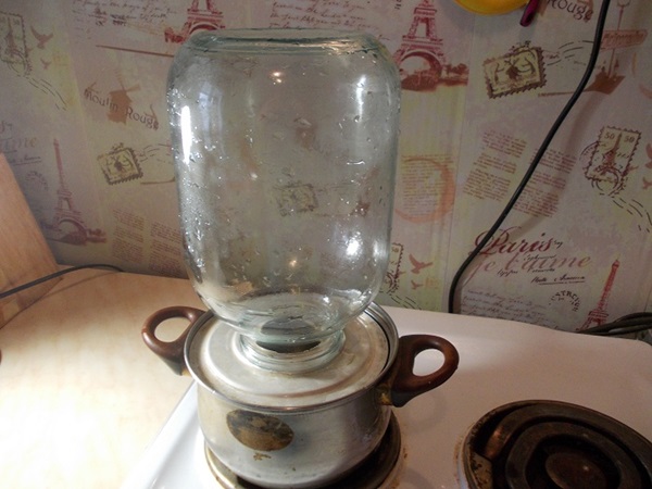 Kompot fra chokeberry ashberry