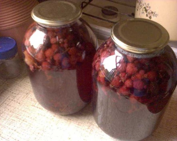 Delicious compote af hindbær til vinteren