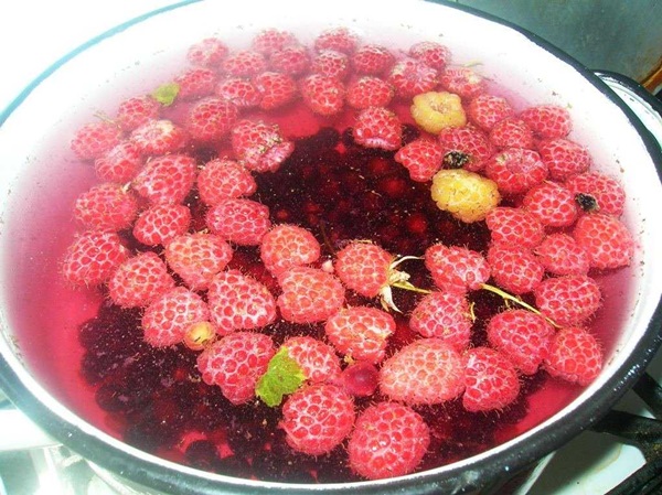Delicious compote af hindbær til vinteren