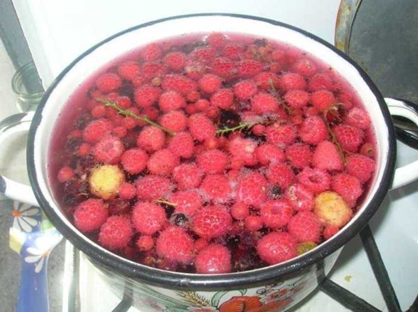 Delicious compote af hindbær til vinteren