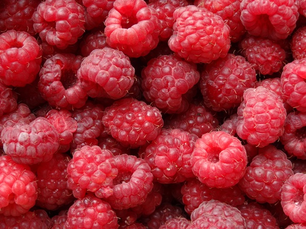 Delicious compote af hindbær til vinteren