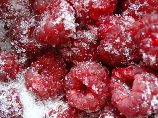 Delicious compote af hindbær til vinteren