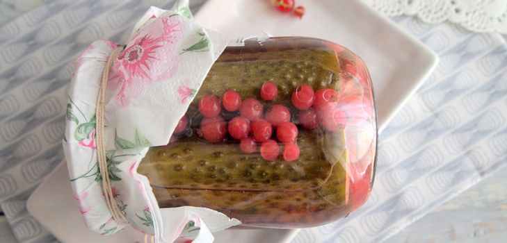 Konserves agurk med currant uden eddike