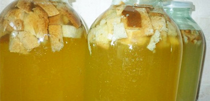 Lækker og enkle opskrifter af kvass på birkesap Lækker og enkle opskrifter af kvass på birkesap