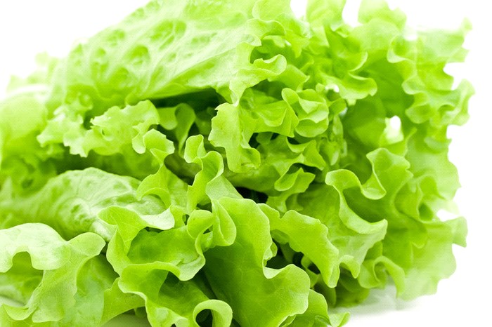 grøn salat