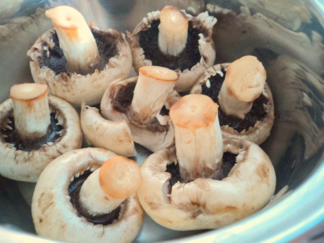 store mushrooms