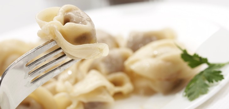De bedste opskrifter til kyllingekød dumplings