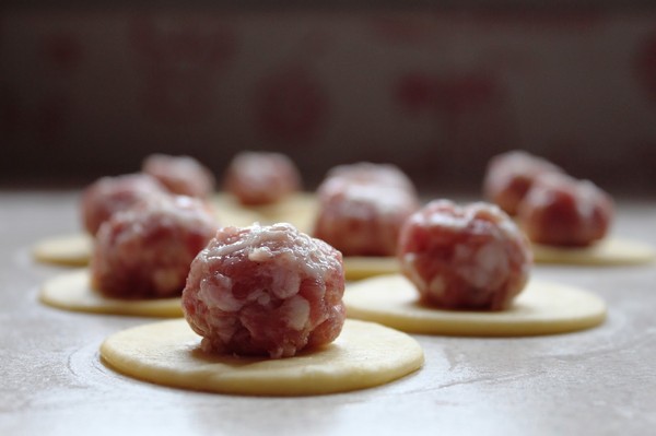 De bedste opskrifter til kyllingekød dumplings