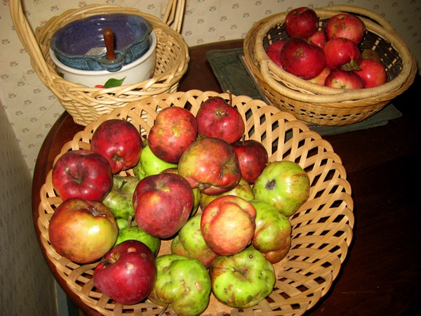 Sådan laver du marmelade fra æbler hjemme