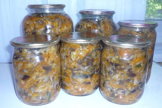Champignon hodgepodge til vinteren med kål
