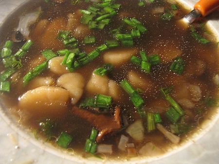 Opskriften på suppe fra tørrede svampe, dens nyttige egenskaber