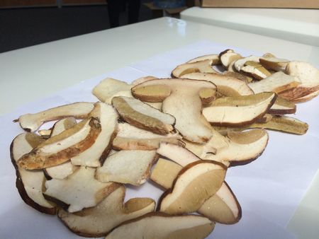 Opskriften på suppe fra tørrede svampe, dens nyttige egenskaber