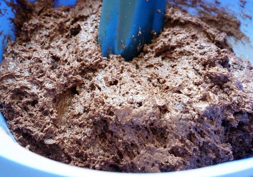 De mest lækre opskrifter af capkake: chokolade, ostemasse, med mastik