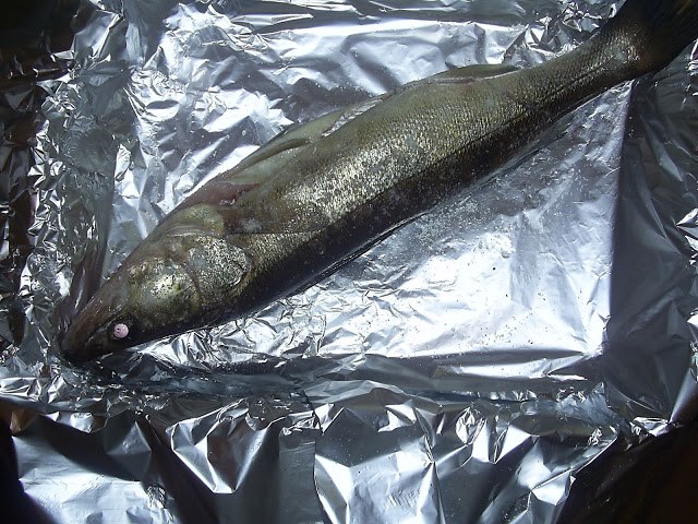 fisk på folie