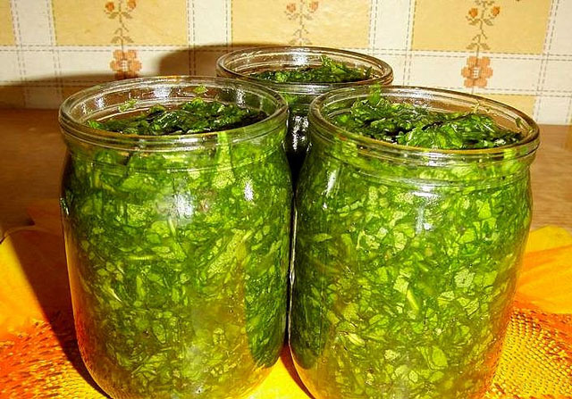 Sådan ruller sorrel til vinteren med salt Sådan ruller sorrel til vinteren med salt