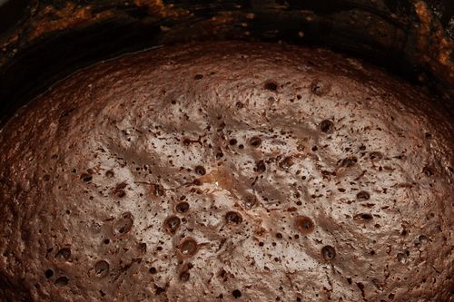 Chokolade cupcake i multivarquet - hurtig opskrift med foto