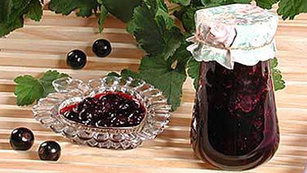 Currant med sukker til vinteren uden madlavning, Pyatiminutka, frosset. Currant opskrift, revet med sukker til vinteren (uden køleskab)