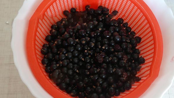 Currant med sukker til vinteren uden madlavning, Pyatiminutka, frosset. Currant opskrift, revet med sukker til vinteren (uden køleskab)