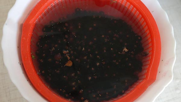 Currant med sukker til vinteren uden madlavning, Pyatiminutka, frosset. Currant opskrift, revet med sukker til vinteren (uden køleskab)