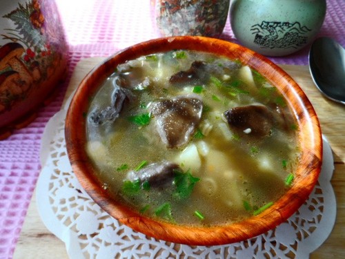 Suppe fra birkebark: opskrifter med foto
