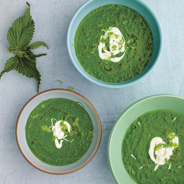 Grøn suppe fra sorrel