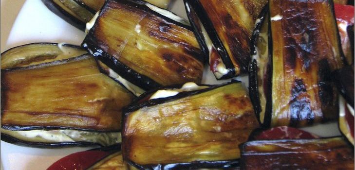 Teschin tungen fra aubergine