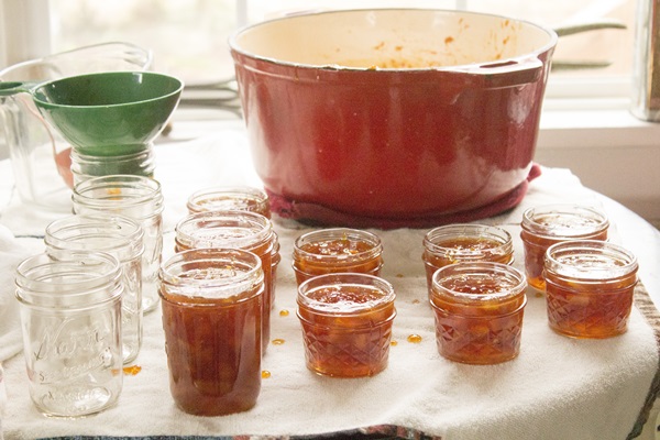 Jam fra appelsiner og appelsinskræller: trin-for-trin opskrifter med fotos