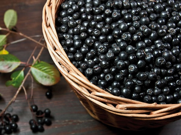 Jam fra sort chokeberry