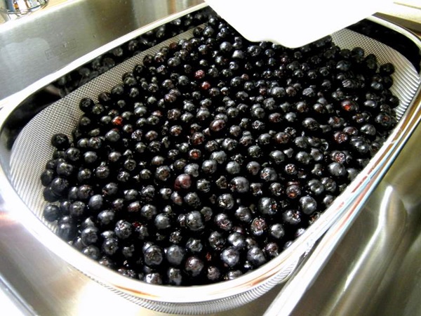 Jam fra sort chokeberry