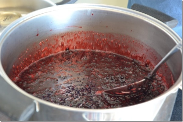 Jam fra sort chokeberry