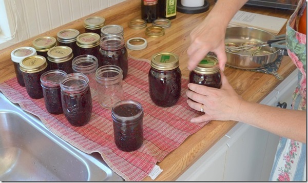 Jam fra sort chokeberry