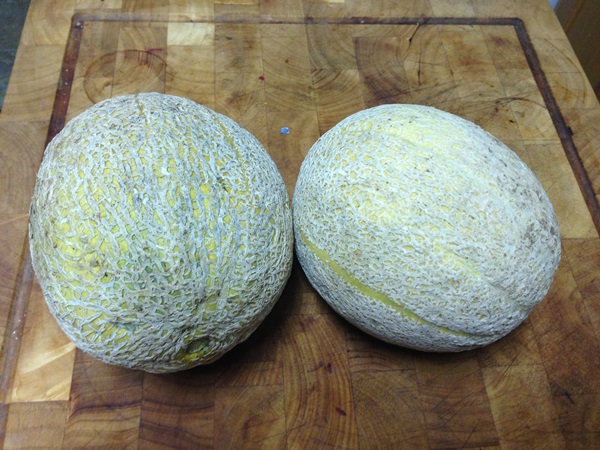 Jam fra melon og melon skorpe til vinter - enkle opskrifter