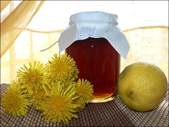 mælkebøtte og citron