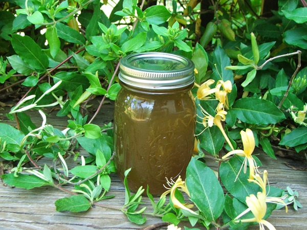 Honeysuckle syltetøj