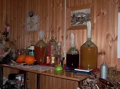 Vin fremstillet af birkesap. Gammel vin fra birkesaft, foto. Gør vin fra juice, opskrift