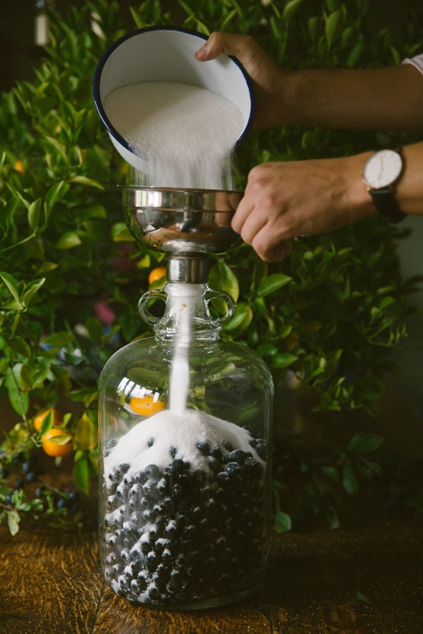 Hjemmelavet vin fra chokeberry