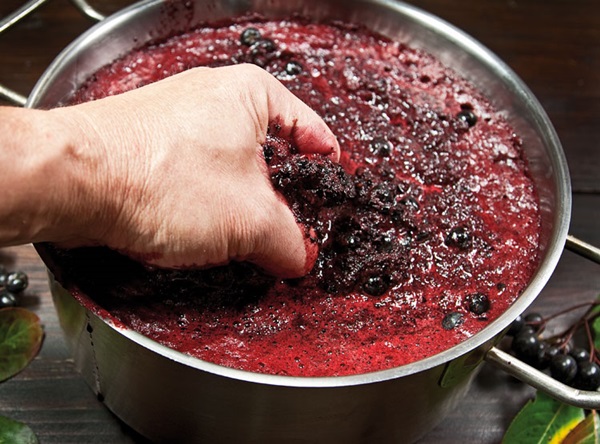 Hjemmelavet vin fra chokeberry