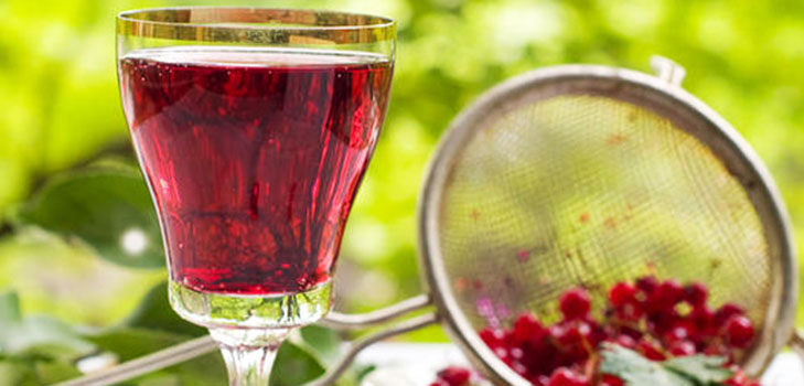 Vin fra krus i hjemmet - sort, hvid, rød, uden gær og med dem. Enkelte og traditionelle opskrifter af vinfarvekornet vin Vin fra krus i hjemmet - sort, hvid, rød, uden gær og med dem. Enkelte og traditionelle opskrifter af vinfarvekornet vin