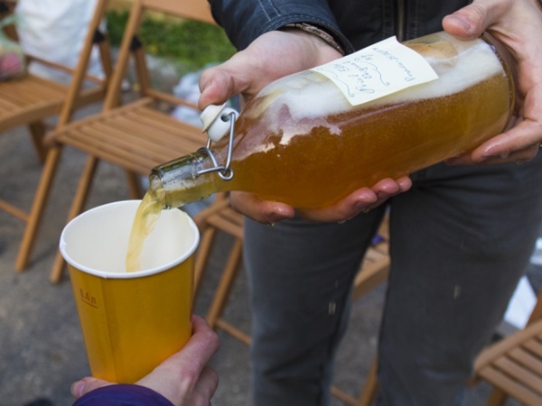 Hjemmelavet vin fra æbler