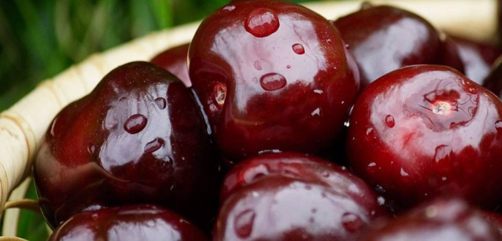 Kirsebær til vinteren - opskrifter - syltetøj med frø og pitted, Fem minutter, syltetøj, gelé uden gelatine, kirsebærkompot Kirsebær til vinteren - opskrifter - syltetøj med frø og pitted, Fem minutter, syltetøj, gelé uden gelatine, kirsebærkompot