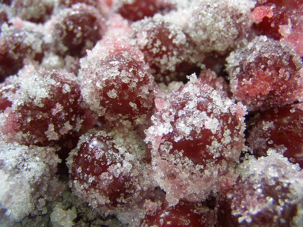 Kirsebær til vinteren - opskrifter - syltetøj med frø og pitted, Fem minutter, syltetøj, gelé uden gelatine, kirsebærkompot