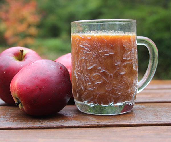 Sådan tilberedes æblejuice til vinteren