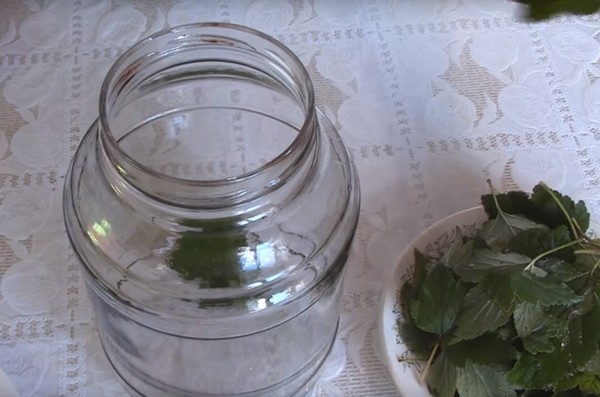 Æbler til vinteren i bankerne - billets og opskrifter - gennemblødt og kiler, compote, syltetøj, tærtepulver. Hvordan man holder æbler om vinteren hjemme