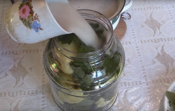 Æbler til vinteren i bankerne - billets og opskrifter - gennemblødt og kiler, compote, syltetøj, tærtepulver. Hvordan man holder æbler om vinteren hjemme