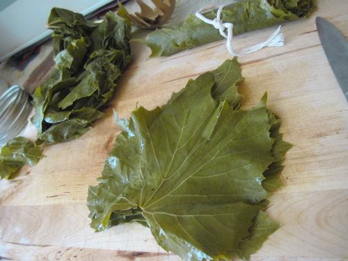 Sådan syner du vinbladene til dolma