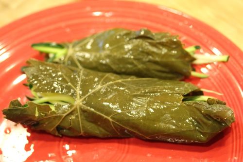 Opskriften til høst af druer til dolma Sådan syner du vinbladene til dolma