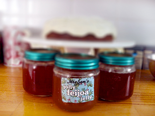 Jelly fra feijoa til vinteren, en opskrift med et billede