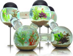 Indretning: Akvarium
